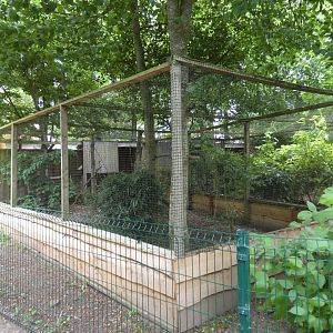 Palm nut vulture aviary