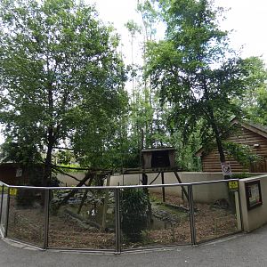 Racoon enclosure viewing area