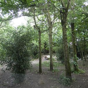 Red-crowned crane aviary
