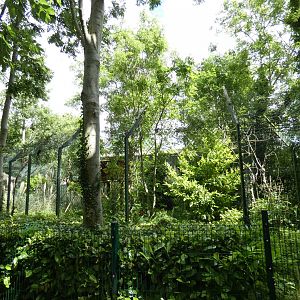 Binturong enclosure
