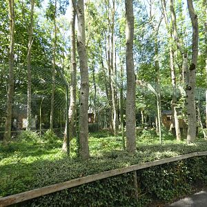Cape porcupine and helmeted guineafowl enclosure