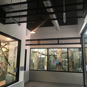 Habitat HQ (Formerly Wildlife Lodge) Monkey renovations