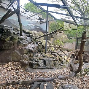 Kea enclosure 190622