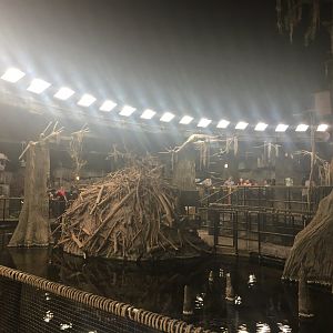 Kingdoms of the Night - The Swamp - Lights On