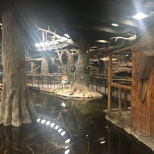 Kingdoms of the Night - The Swamp - Lights On