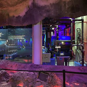 Dolphin Tank Filtration and Signange