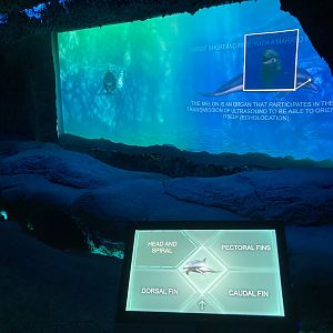 Interactive displays