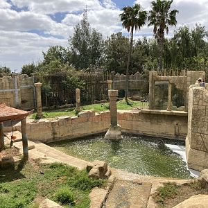 Tiger Enclosure Panorama