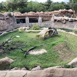 Komodo Dragon Island