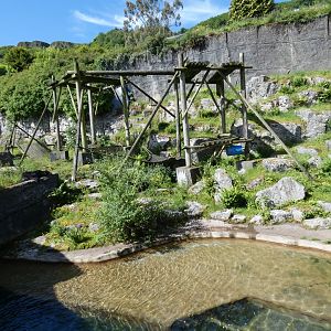 Spectacled bear enclosure