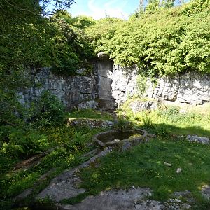 Spectacled bear enclosure (2)