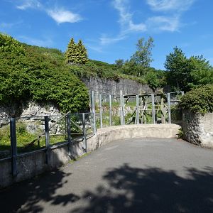 Spectacled bear enclosure viewing area