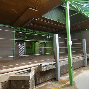 Asian elephant indoor enclosure