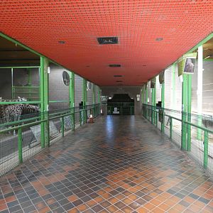 Giraffe and Elephant House viewing area