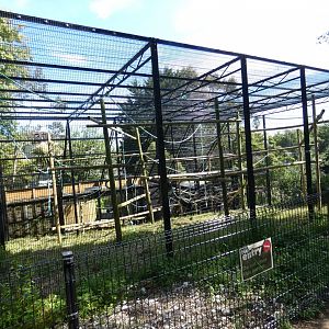 Moloch gibbon outdoor enclosure (2)
