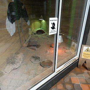 Pancake tortoise enclosure