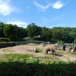 Asian elephant outdoor enclosure (2)