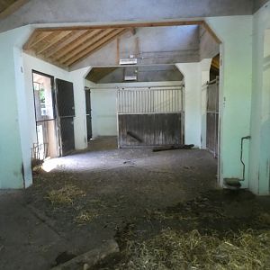 Visayan warty pig indoor enclosure