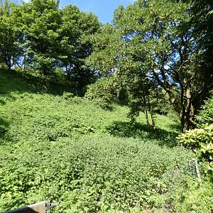 Darwin's rhea enclosure