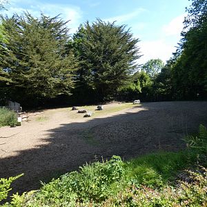 Eastern bongo enclosure