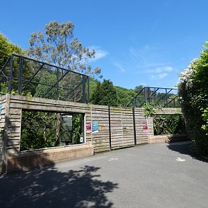 Red titi monkey enclosure