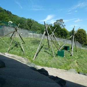 Chimpanzee outdoor enclosure