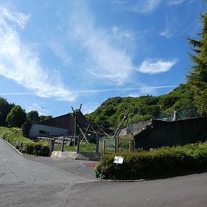 Chimpanzee outdoor enclosure (2)