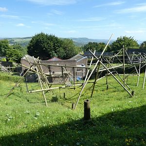 Francois langur enclosure