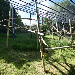 Crowned lemur enclosure