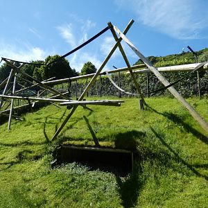 Red howler, pudu and Southern screamer enclosure