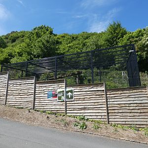 Scottish wildcat enclosure (2)