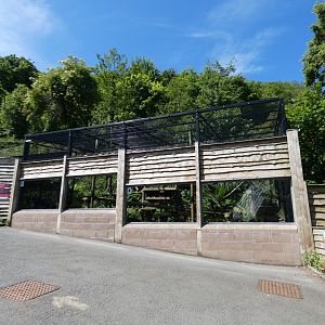 Scottish wild cat enclosure