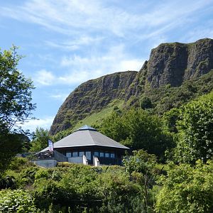 Treetops Tearoom Cafe