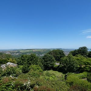 View from Treetop cafe