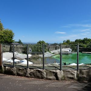Penguin enclosure