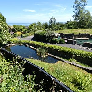 Spot-necked otter enclosure