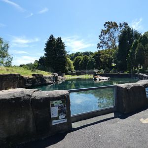 Californian sea lion enclosure