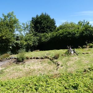 Giant anteater enclosure