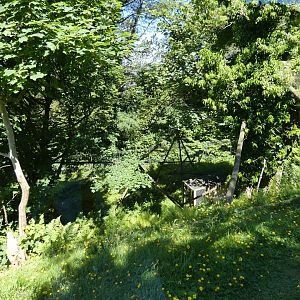Belted ruffed lemur enclosure (2)