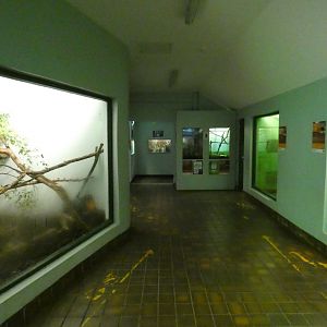 Reptile house (2)