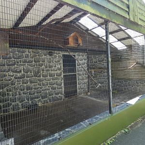 Barn owl aviary