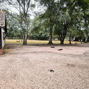 Red, Lechwe, eland antelope and Crane