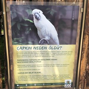 When people don’t listen to “don’t feed the animals”…