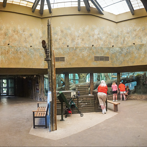Jul. 2022 - Congo Expedition - Indoor Gorilla Exhibit Panorama