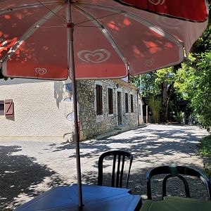 View -Zoo d'Asson (2022)