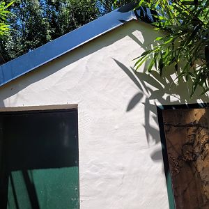 White-faced saki, Bearded emperor tamarin and St.Vincent agouti exhibit -Zoo d'Asson (2022)