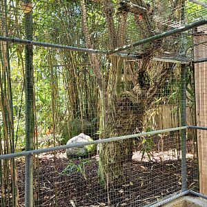 Entrance to the aviaries -Zoo d'Asson (2022)