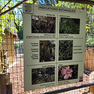 Vegetation sign -Zoo d'Asson (2022)
