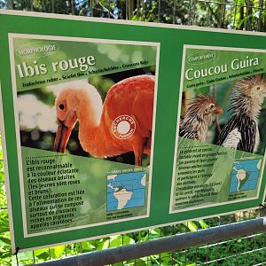 Guira cuckoo and Scarlet ibis signs -Zoo d'Asson (2022)
