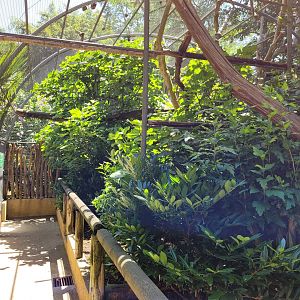 Yellow-knobbed curassow exhibit -Zoo d'Asson (2022)